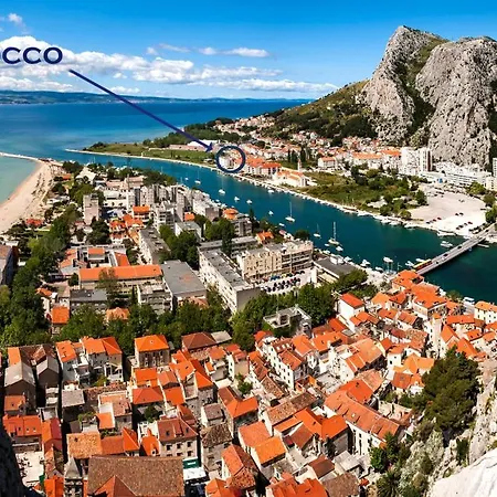 Cocco Modern Omis